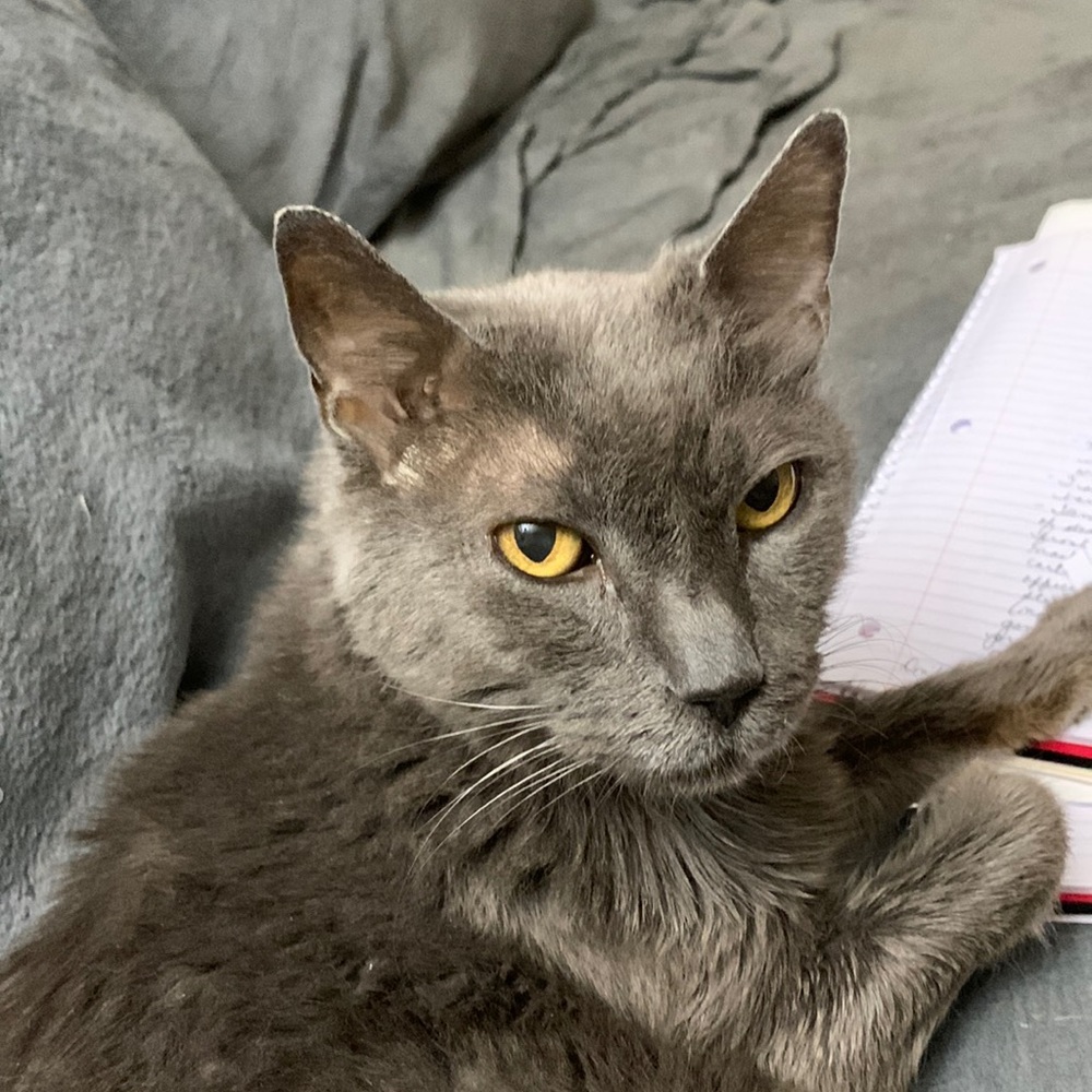 Meet your Posher, Red